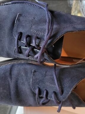 Certo Beverly Hills Navy Suede Lace-Up Dress Shoes Made In Italy